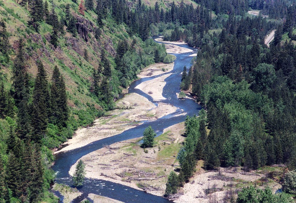 Umatilla River winding through a foreset